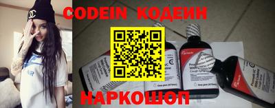 Альфа ПВП Новозыбков