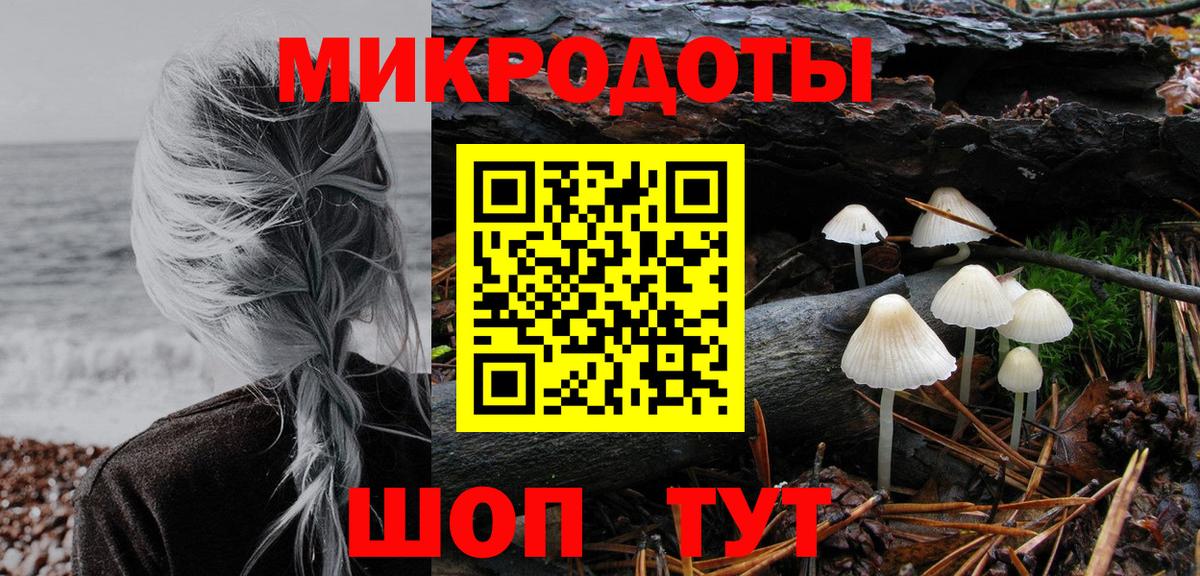 Псилоцибиновые грибы Cubensis Холмск
