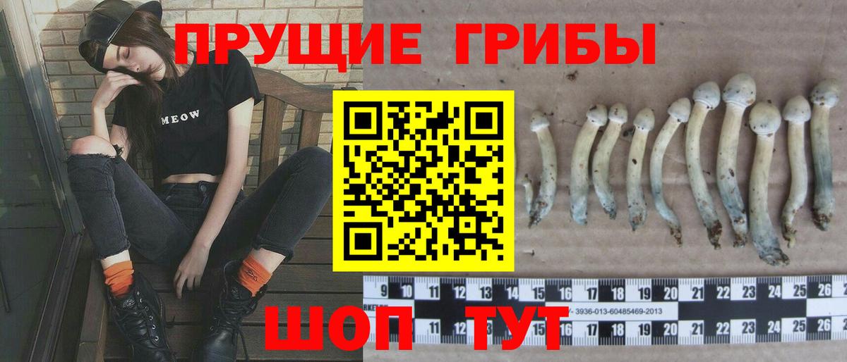 Холмск  Галлюциногенные грибы Psilocybe  Вход с VPN 